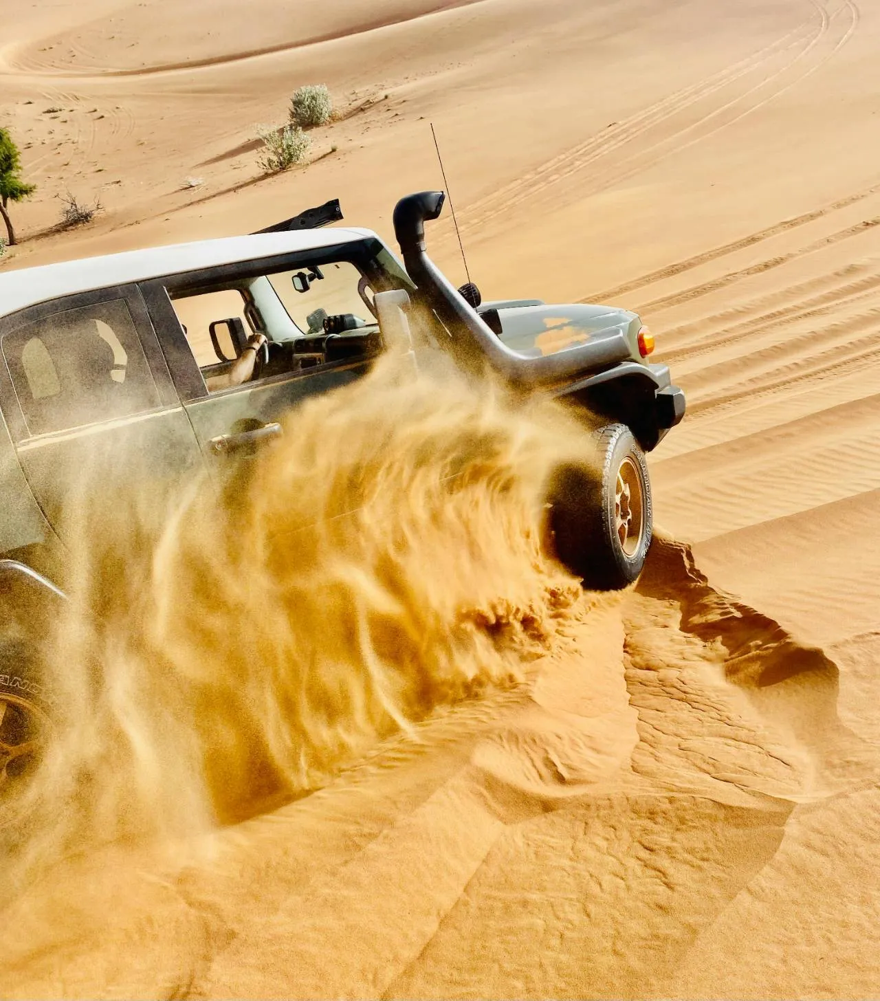 Dune Bashing - Private Adventure Experience